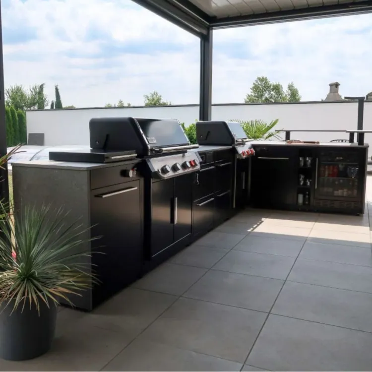 Bucatarii Weber Premium