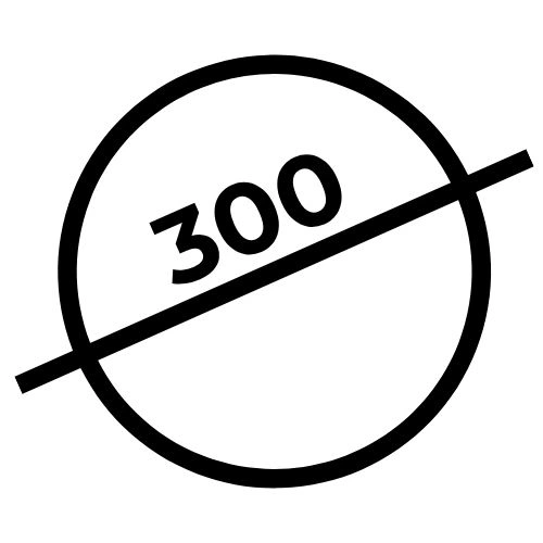 Fi 300