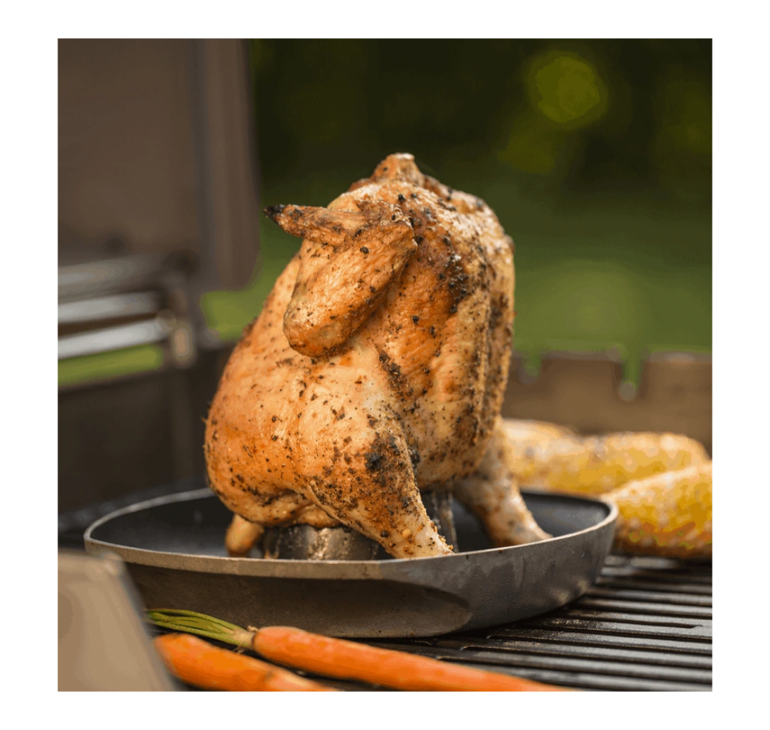 vas-pentru-prajit-carne-de-pui-deluxe-6731
