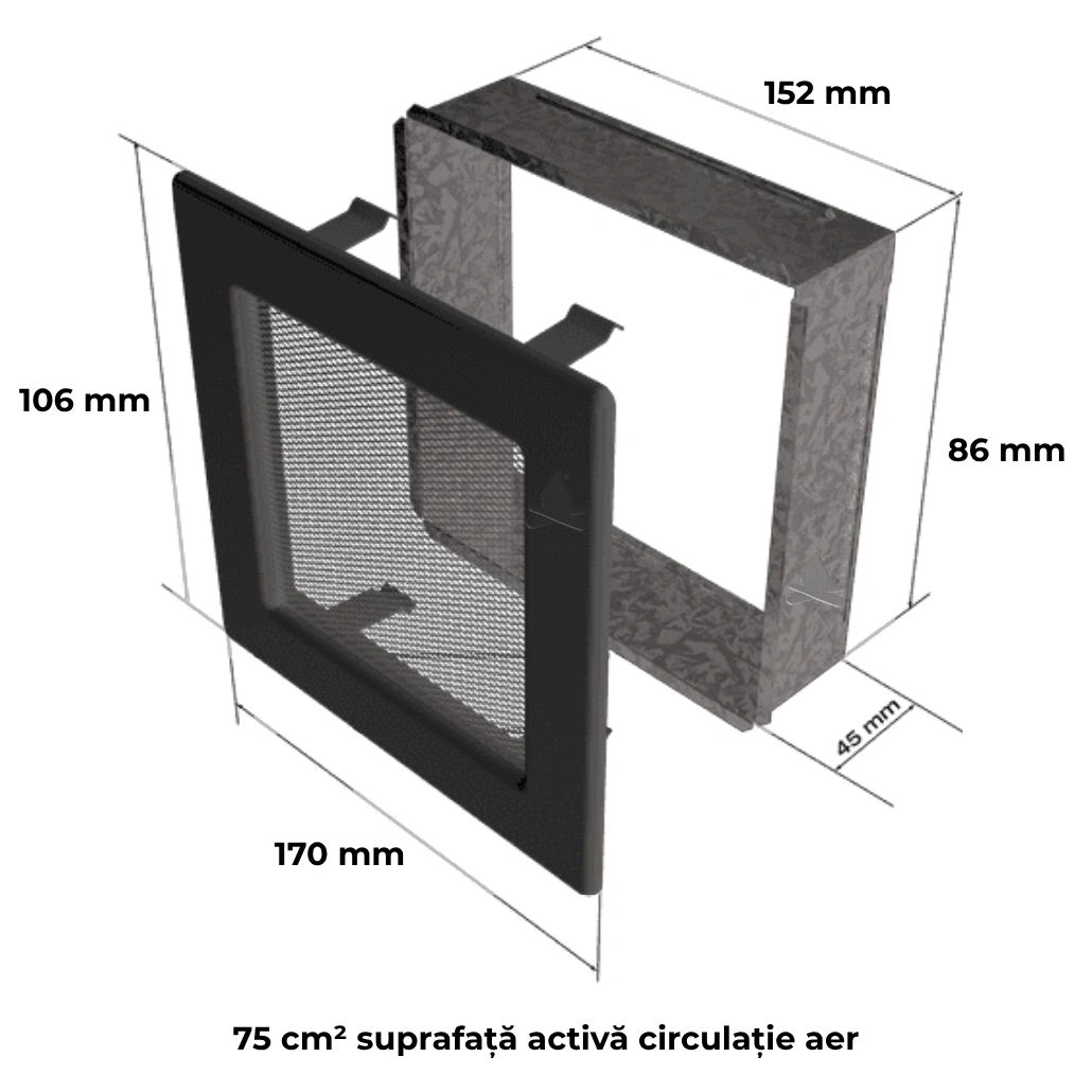 NEGRU CU PLASA 11x17.jpg