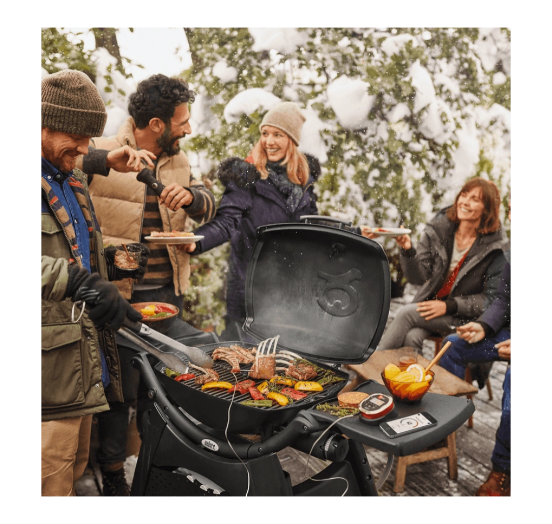 weber-igrill-2-7221
