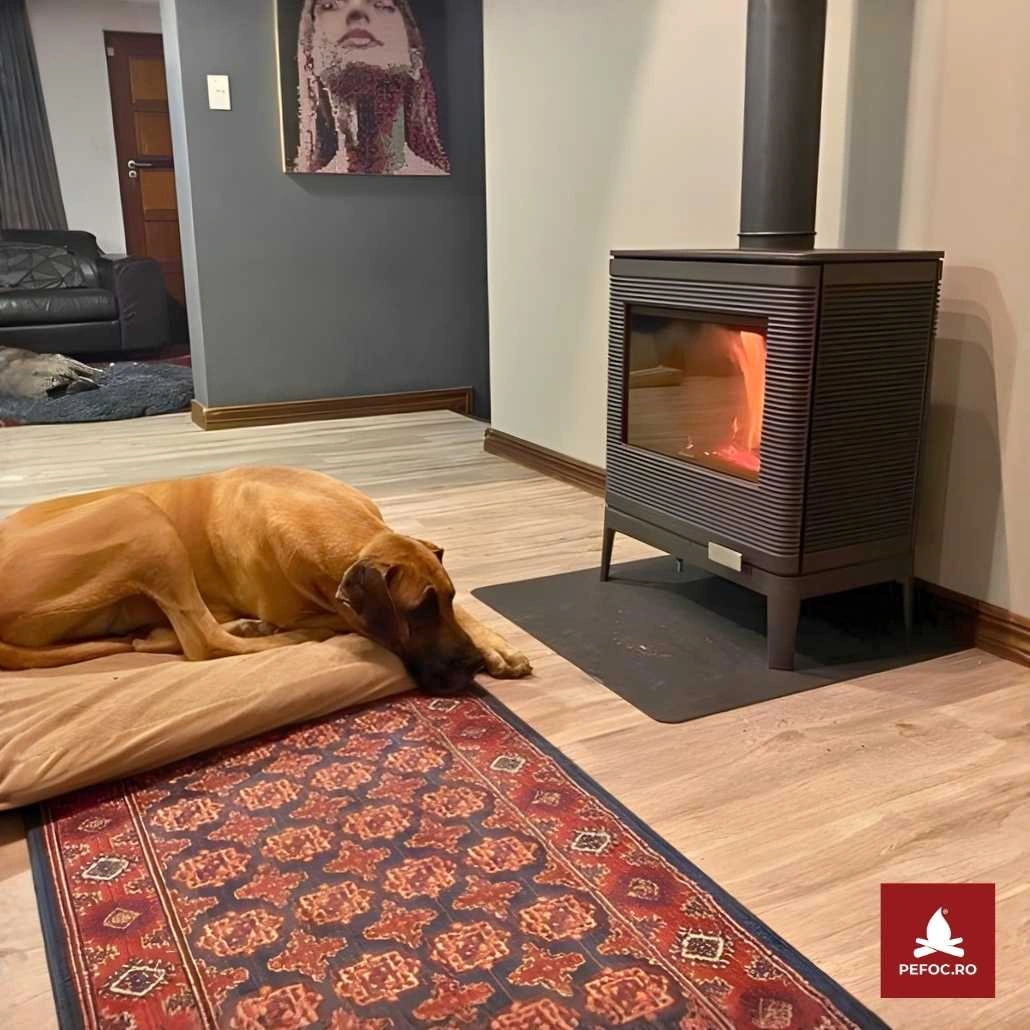 poze produs kazan invicta (4).jpg