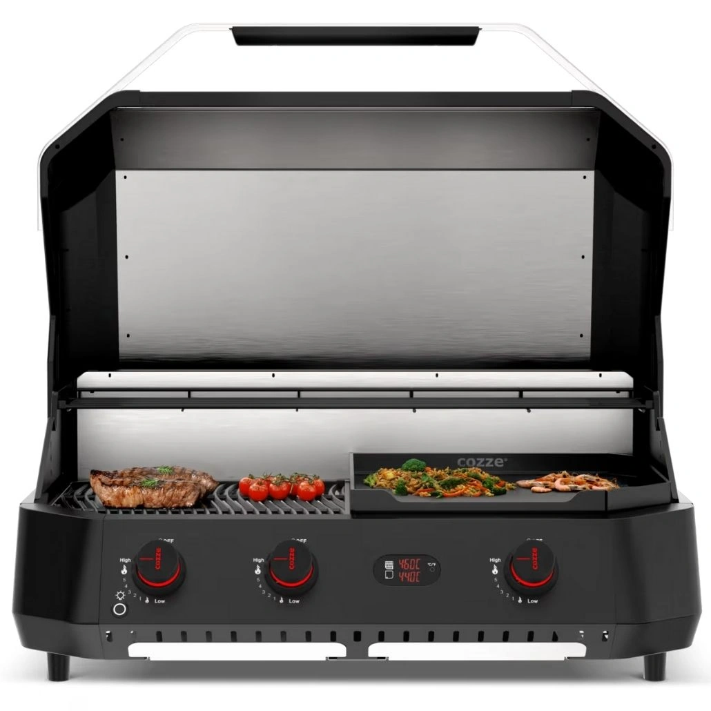 Cozze G-800 Plancha gaz.jpg