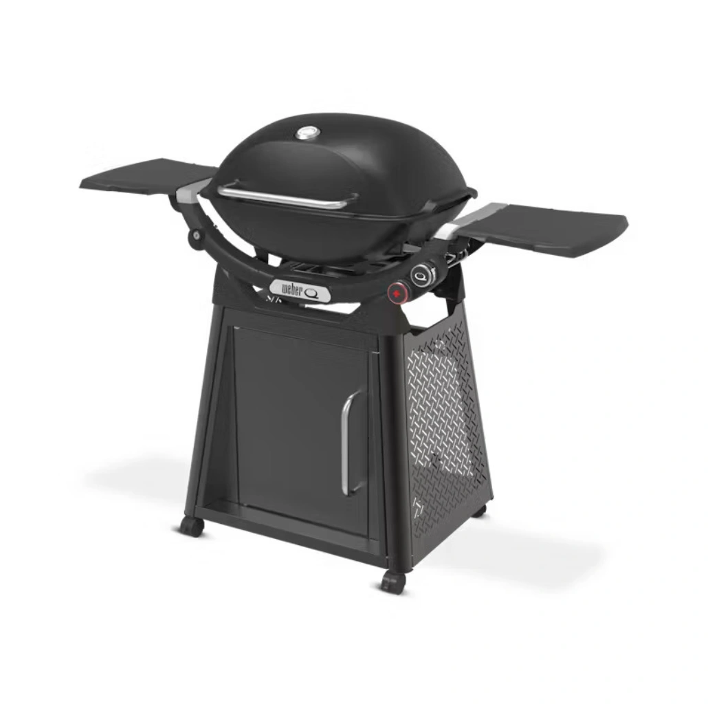 weber gaz  Q 2800N.png