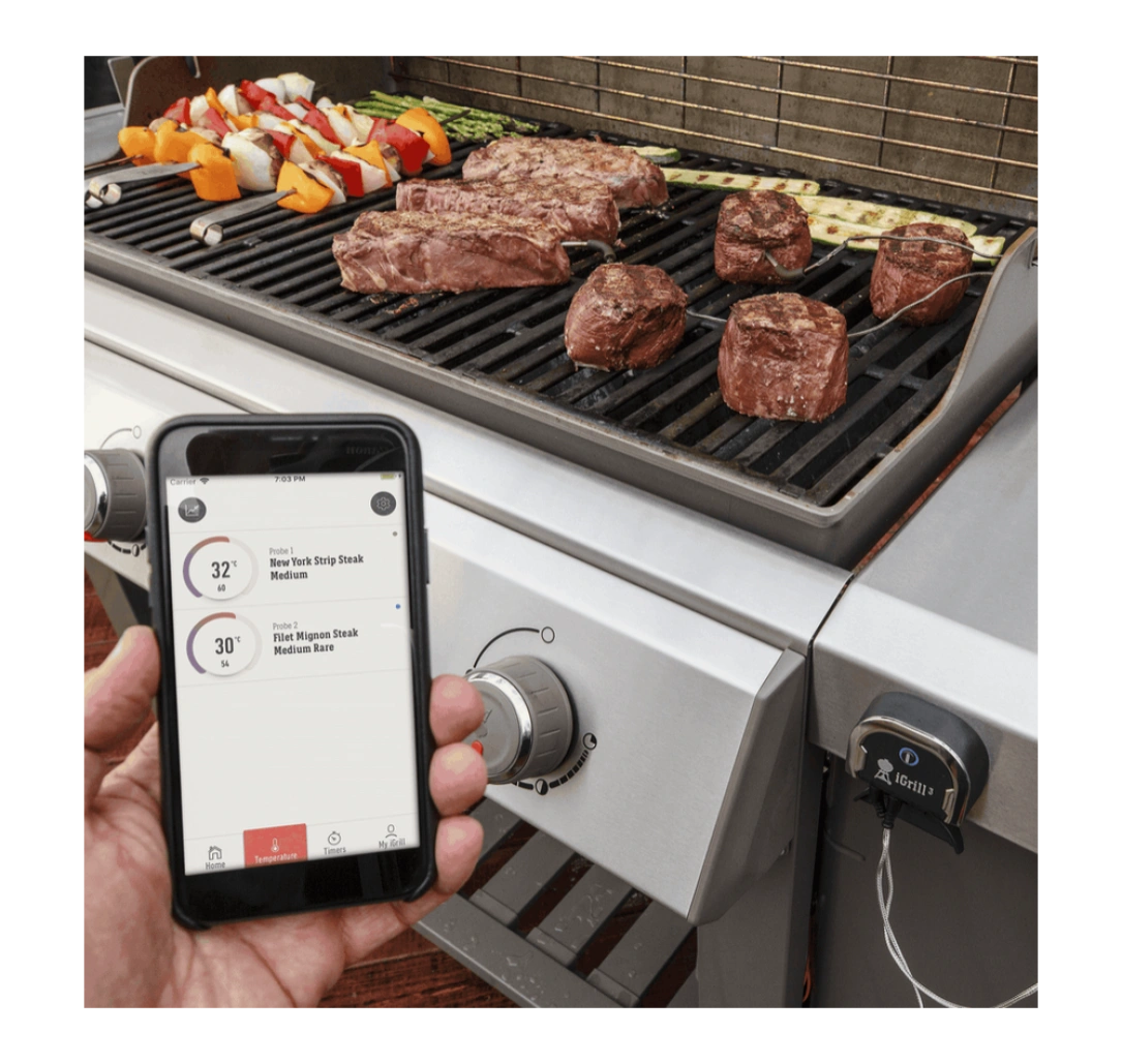 weber-igrill-3-7205