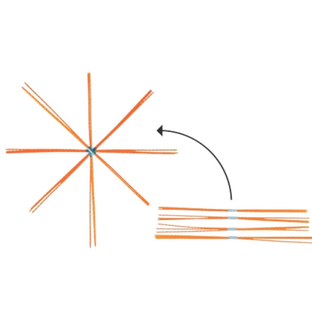 bristles.jpg