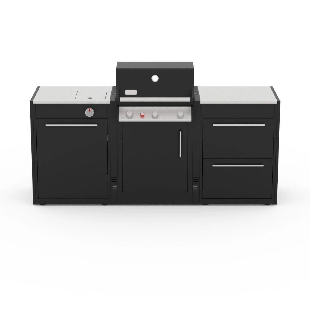 bucatarie-exterior-2-module-pentru-gratare-pe-gaz-weber-spirit-300-cu-arzator-1500611