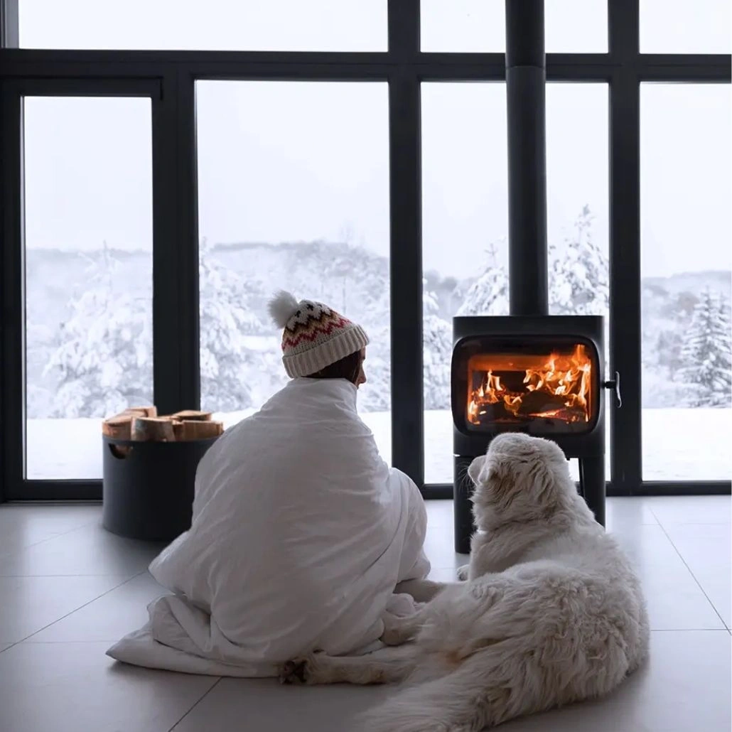 Cos de lemne Aero 2 (2).jpg