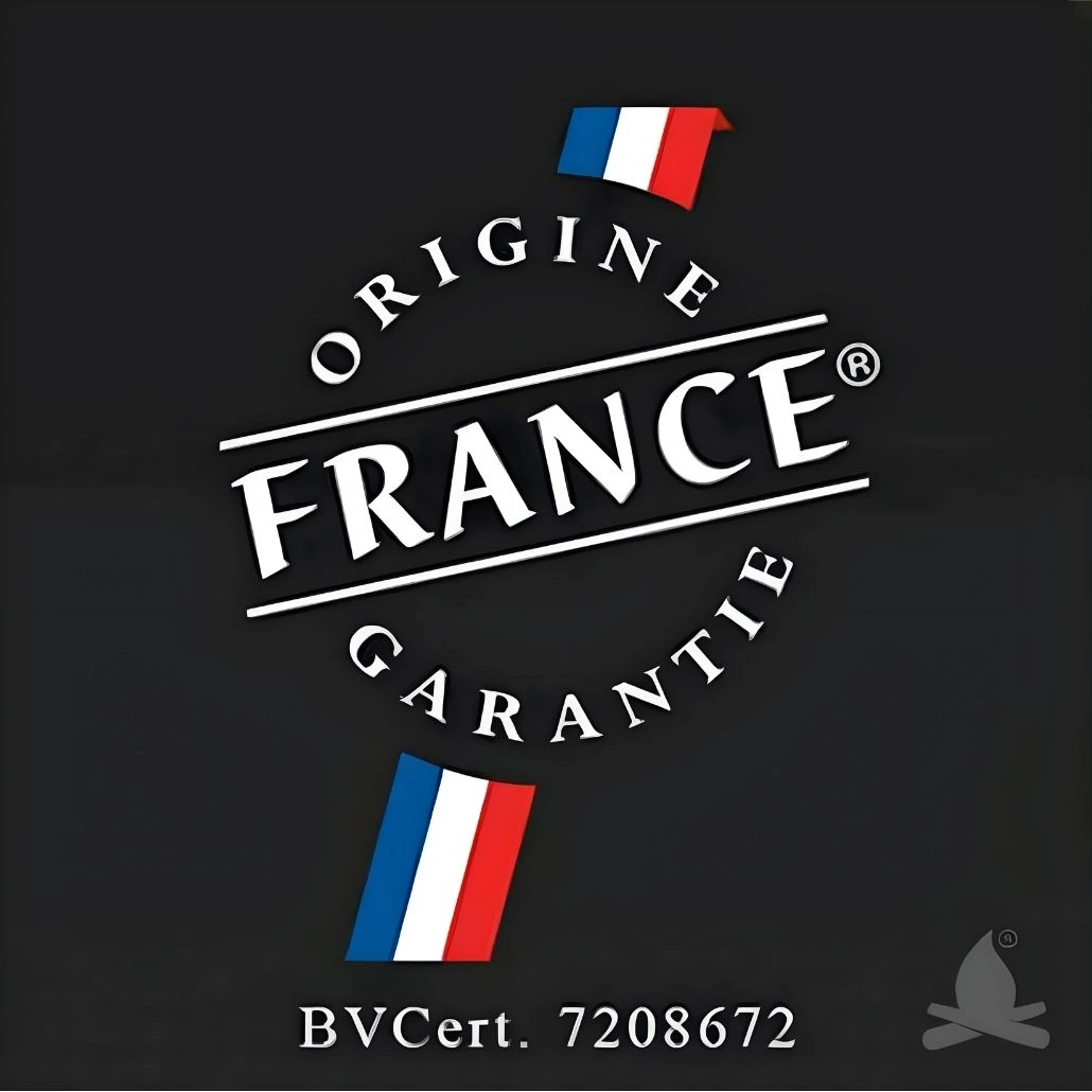 monza invicta stove soba poze produs poze descriere monza invicta.jpg