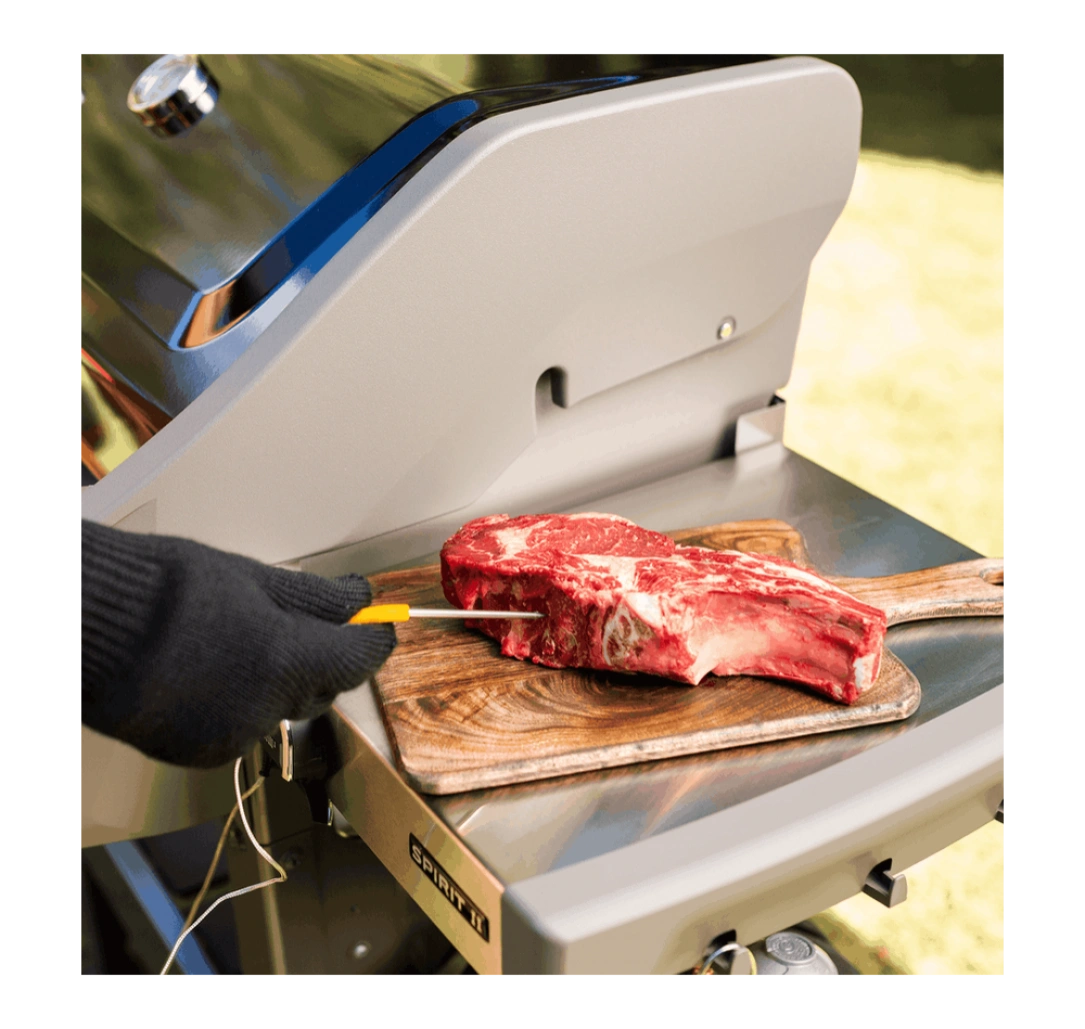 weber-igrill-3-7205