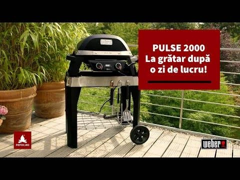 O masa delicioasa in doar 30 de minute cu gratarul electric Weber Pluse 2000