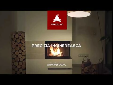 Precizia inginereasca a focarelor Hoxter pentru seminee