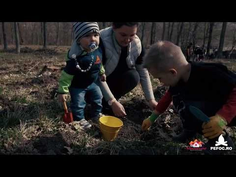 Actiune de impadurire in judetul Sibiu - o campanie PEFOC