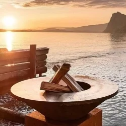 gratare-pe-lemne-cu-plita